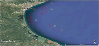Valorization of fish from the Adriatic Sea: nutritional properties and shelf life prolongation of Aphia minuta through essential oils